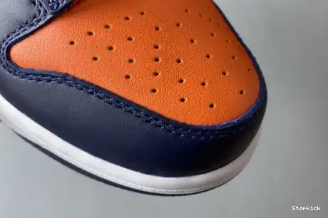  (2020) CU1727-800 Low Dunk Champ Colors Nike 0707